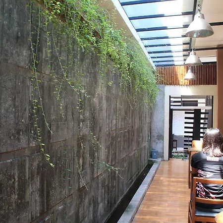 Homey Guest House